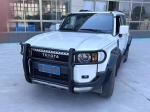 Защитная дуга переднего бампера для Toyota Land Cruiser Prado 250 LC250 Крузак Тойота Кенгурятник защита бампера
