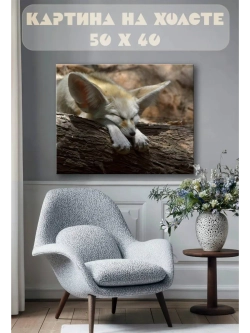 Картина на стену 40 X 50 Лиса фенек