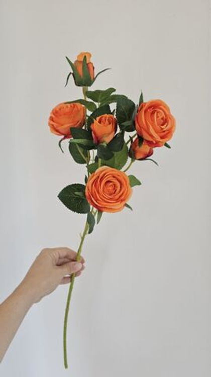 Роза кустовая / Арт 2632