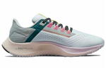Кроссовки Nike Pegasus 38 Zoom Prm (Женская размерная сетка)