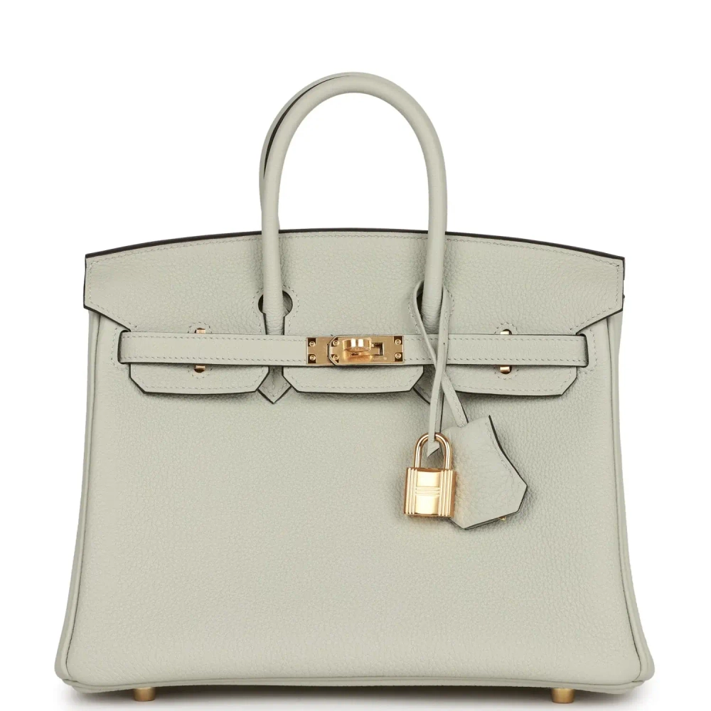 Женская сумка из коллекции B с золотой фурнитурой Hermès Birkin