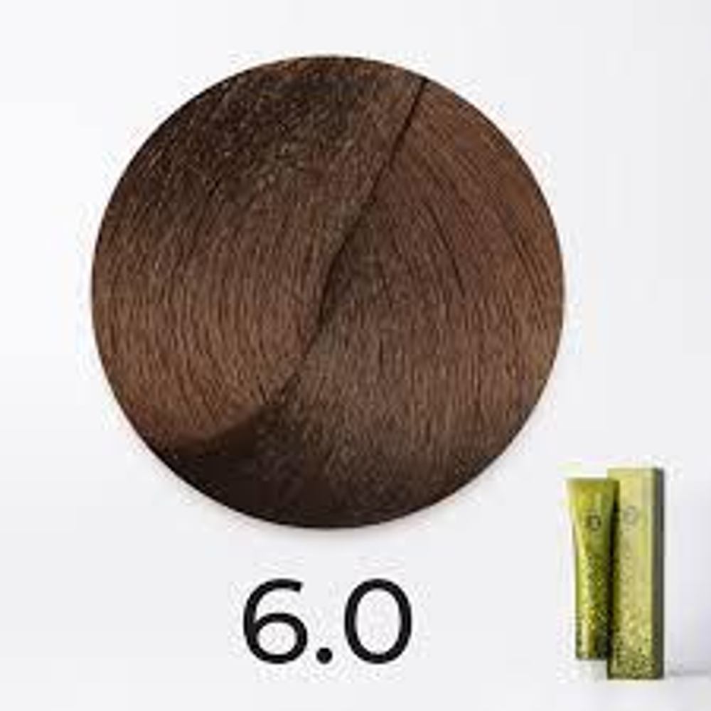 6.0 темный блондин B.Life Color 100 мл. FV