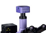 Микроскоп люминесцентный цифровой MAGUS Lum D400