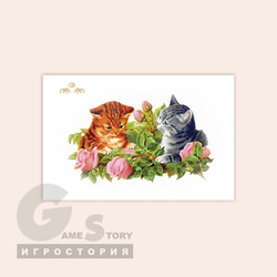 Два котенка с розами
