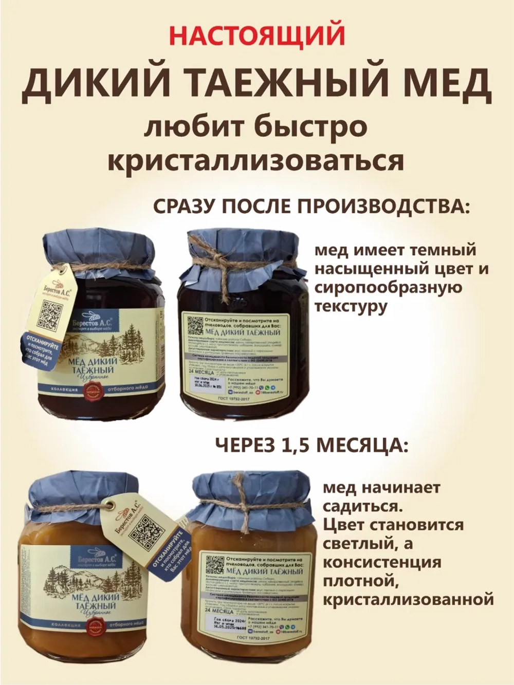 Мёд Дикий Таёжный натуральный 500 г Берестов