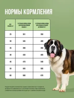 Корм сухой полнорационный BOWL WOW для взрослых собак крупных пород с ягненком, индейкой, рисом и добавлением цукини