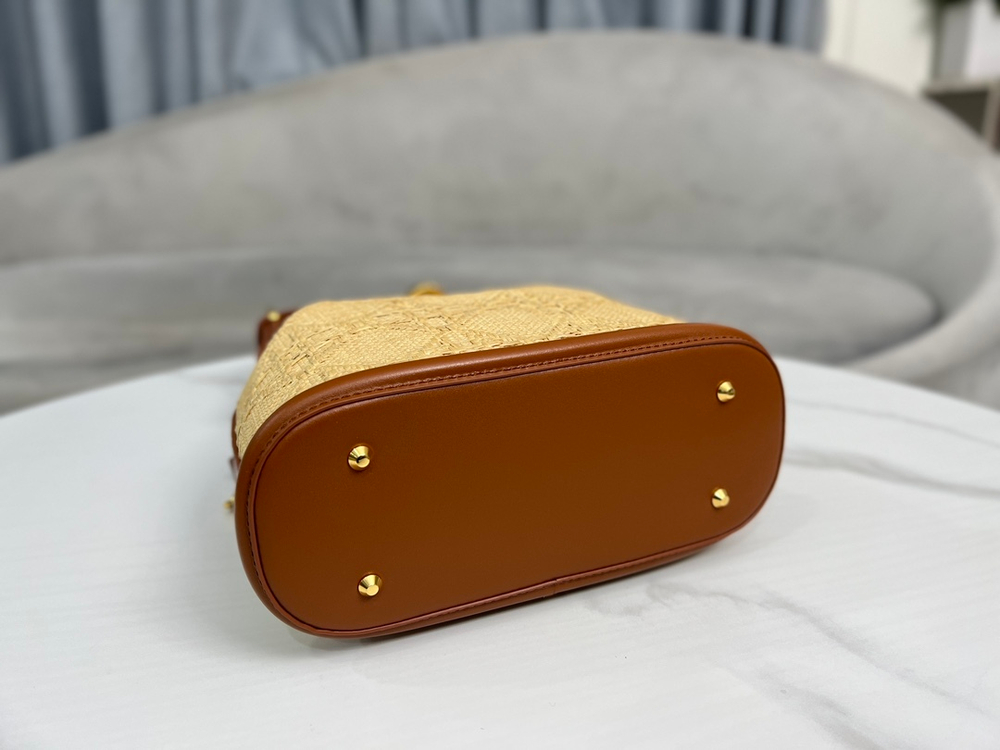Christian Dior Medium C'est Dior Bag