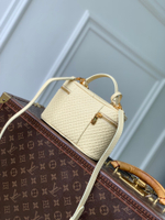Louis Vuitton Vanity Chain Pouch