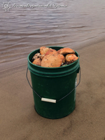 Путешествие на реку Тавайваам