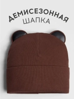 Шапка для мальчика осенняя с ушками