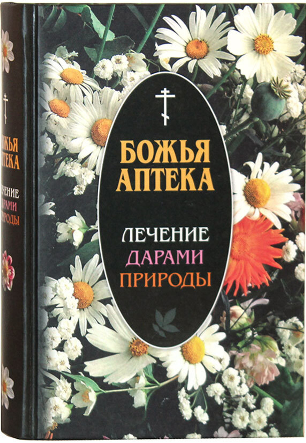 bozhya-apteka-lechenie-darami-prirody-2331-467043