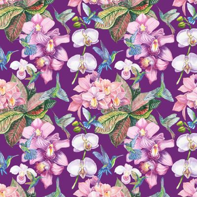 орхидеи и колибри