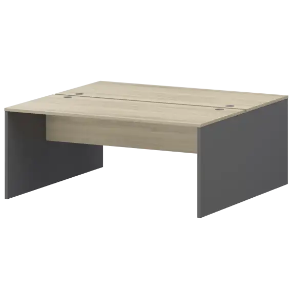 Бенч двойной Тип1 СМСР25-2.16.73  1600x1496x750 Смарт