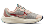 Кроссовки Nike Zoom Winflo 8 (Женская размерная сетка)