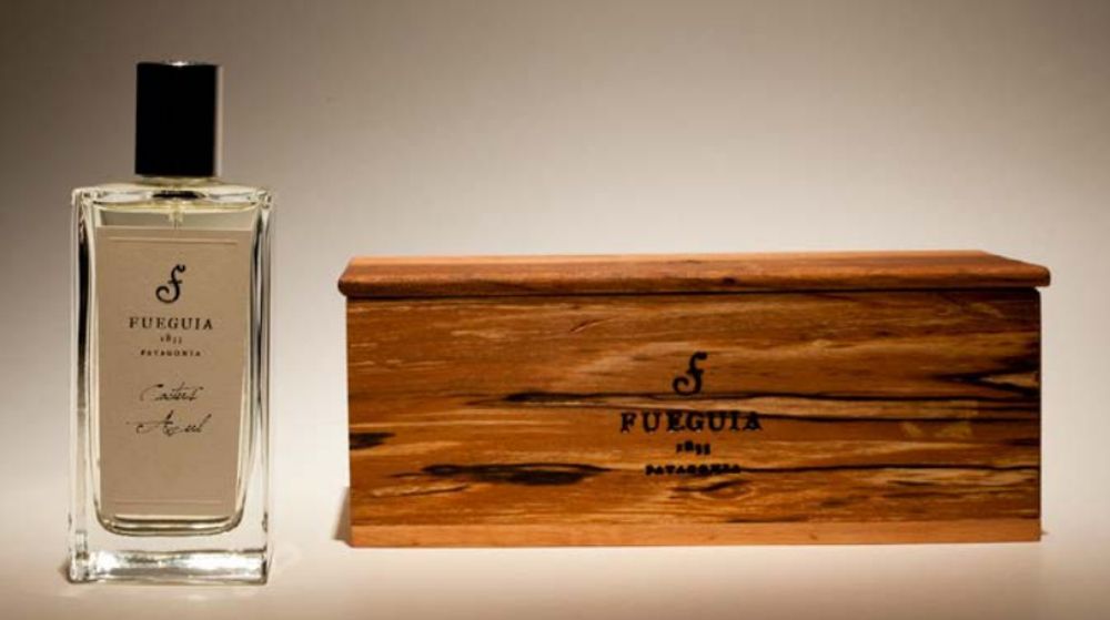 Fueguia 1833 Cactus Azul