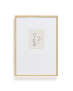 Картина Lirena с ботанической иллюстрацией 70 x 50 см