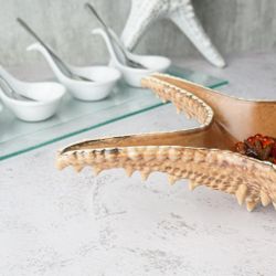 Блюдо для подачи 28*28 см h6 см 100 мл Звезда Pearl Starfish Frutti di Mare P.L. [1]