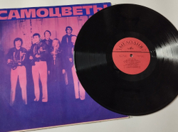 Винтажная виниловая пластинка LP ВИА Самоцветы (СССР 1980) Мой Адрес Советский Союз (Misspress) (Два одинаковых пятачка)