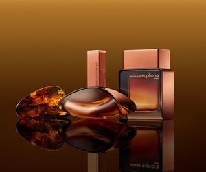 Calvin Klein Euphoria Amber Gold Men