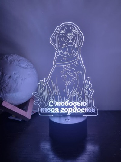 Ночник "Собака - Лабрадор"