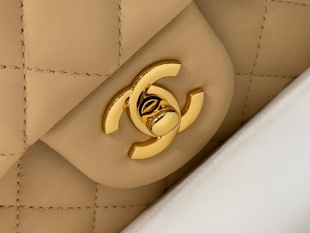 Chanel Bag 20 cm
