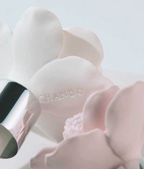 Gardenia Breeze, ароматический диффузор с необычными палочками, Chando