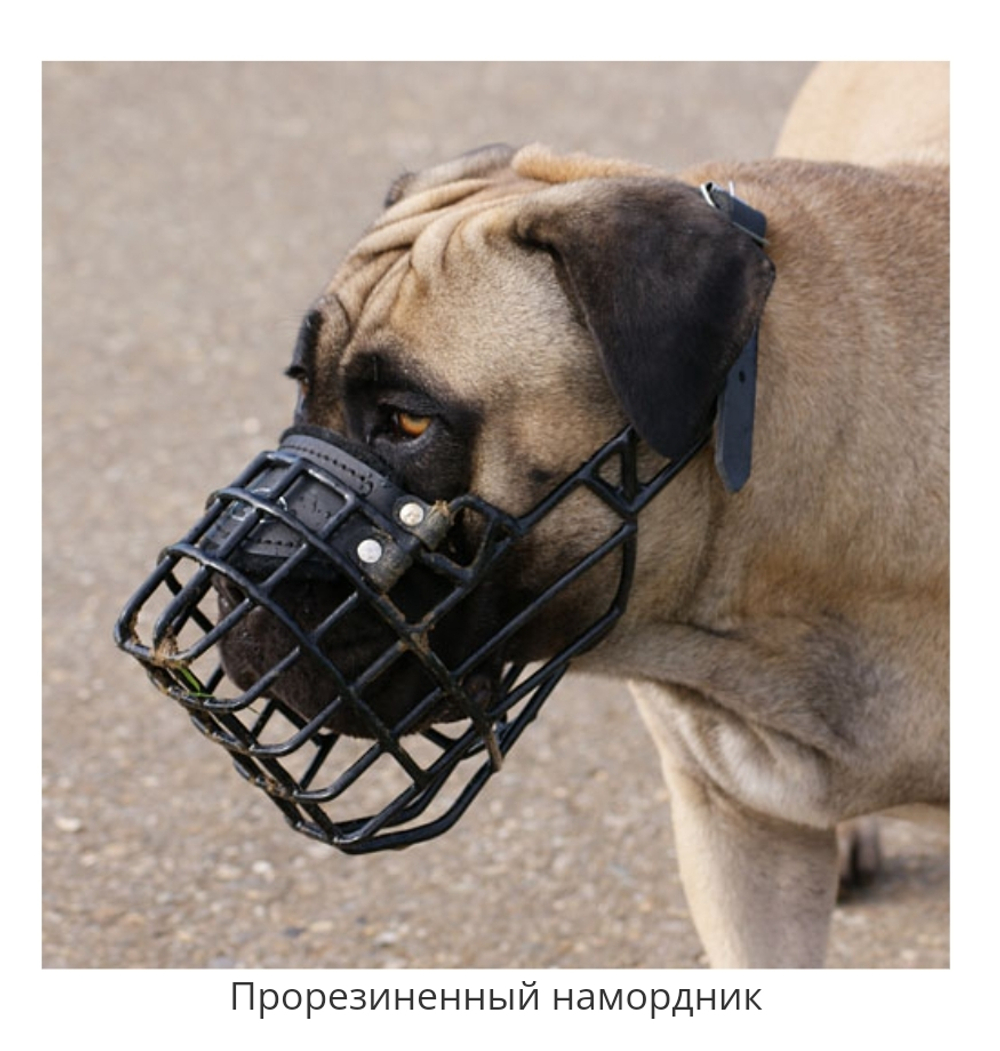 Намордник металлический обливной комфорт от Fordogtrainers