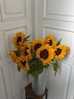 Подсолнух от 15 шт