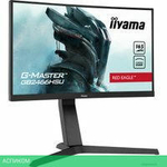 Игровой монитор Iiyama G-Master Red Eagle GB2466HSU-B1