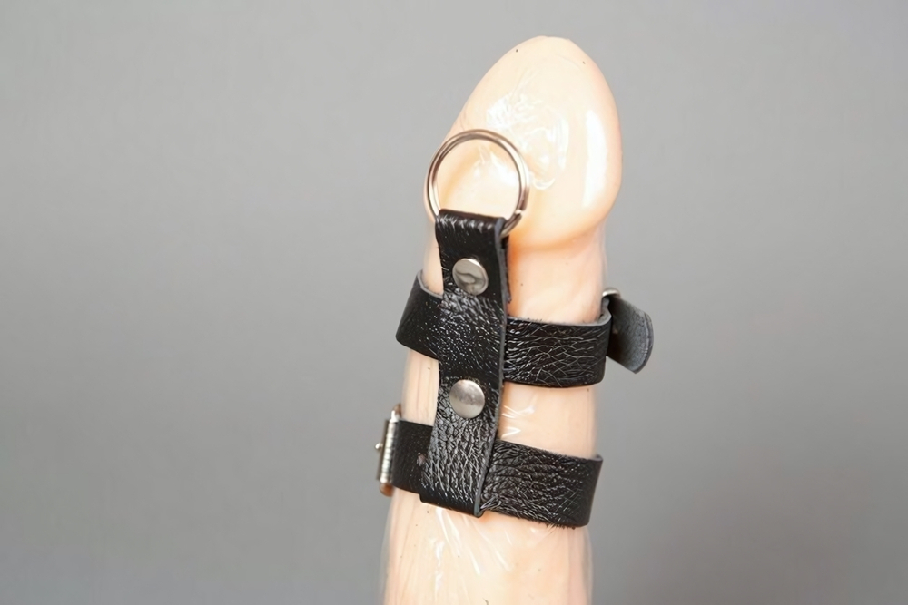 Сбруя на фаллос и мошонку на пряжках (Цвет: черный с серебряным)