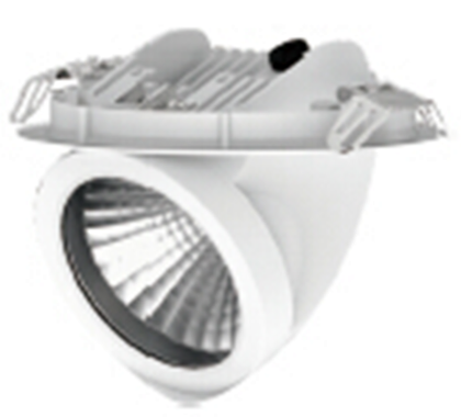 Светильник точечный D001-COB4-25W