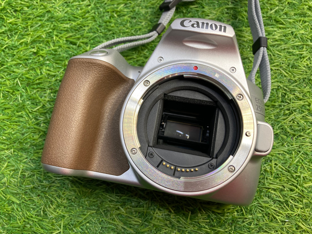 Canon 250D Белый + 18-55mm IS STM 730 кадров