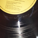 Roger Waters / The Pros And Cons Of Hitch Hiking (LP)