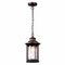 Уличный подвесной светильник Odeon Light Nature Mavret 4961/1