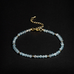 Браслет на ногу Noble SBU