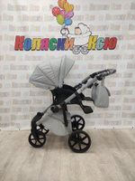 Коляска модульная Adamex Nola Natura N-9-Moon