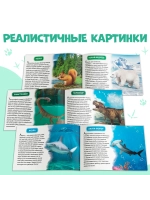 Книги для малышей Развивашки