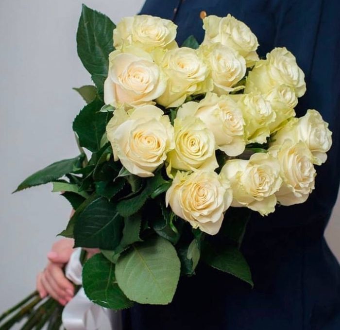 Букет из 15 эквадорских роз 70 см (цвет роз на выбор) #29548