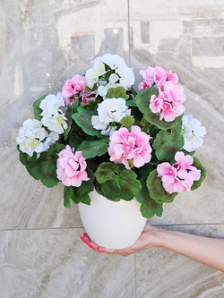 Искусственная Герань бело-розовая густая 40см в белом кашпо