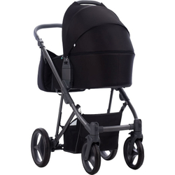 Детская коляска Bebetto Flavio 2 в 1 10 черный серая рама