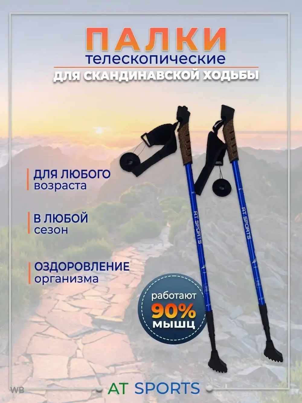 Палки для скандинавской ходьбы складные