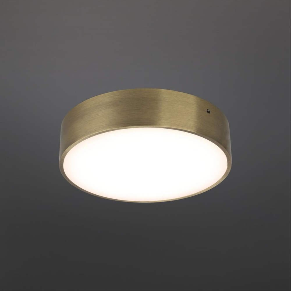 Потолочный светодиодный светильник Aployt Evon APL.0114.29.18