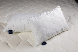 Подушка MOLINA (МОЛИНА)