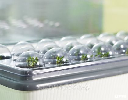 Расширенный комплект для гидропонной установки "Луковое счастье"