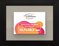 Рамка 23,7x29,7 для постера и фотографий