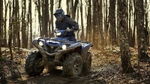 Квадроцикл YAMAHA GRIZZLY 700 EPS STD