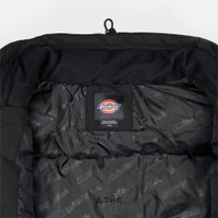  Пуховик мужской Dickies Waldenburg Jacket артикул:DK0A4XP2BLK1 - купить в магазине Дайс