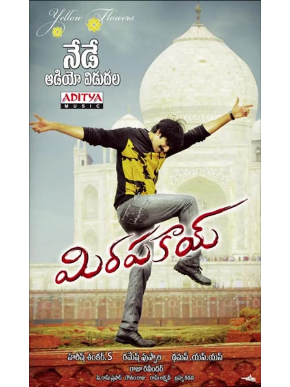 Жгучий перец (2011) (DVD-R)