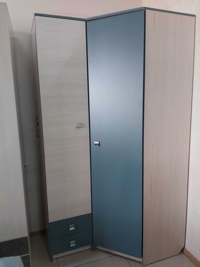 сосна астрид / маренго реальное фото