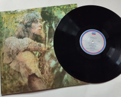Винтажная виниловая пластинка LP John Mayall Blues From Laurel Canyon (Germany 1981)